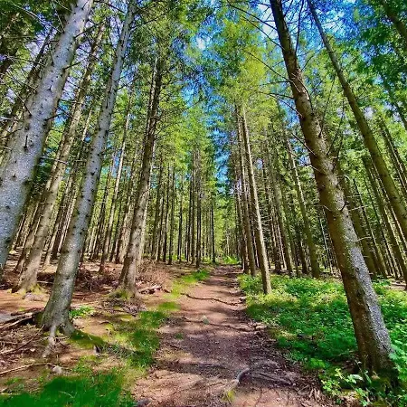 Relax-apartment Mit Indoor-pool, Sauna, Massagesessel Und Netflix * סכונאץ'