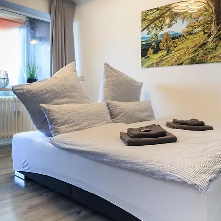 Relax-apartment Mit Indoor-pool, Sauna, Massagesessel Und Netflix * Schonach im Schwarzwald